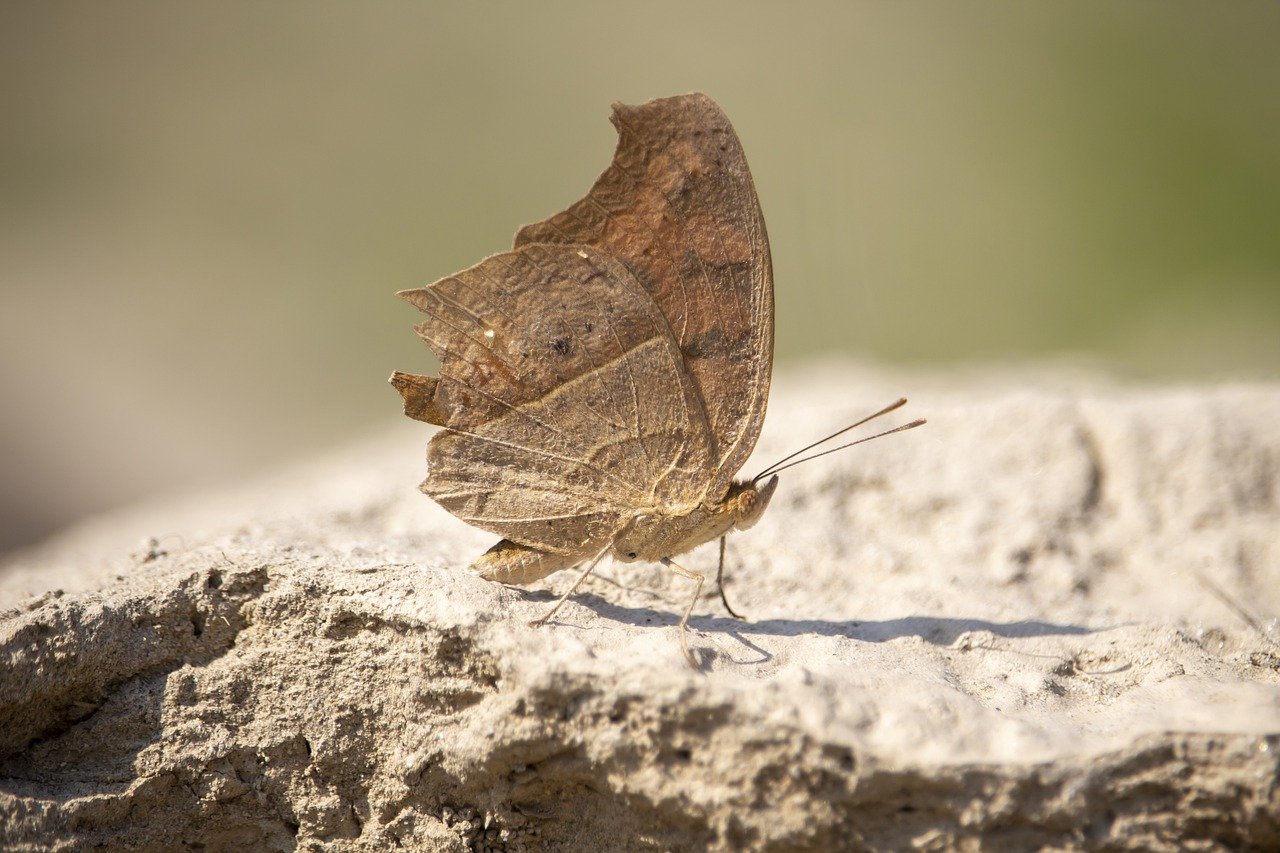 percy jackson books in order list