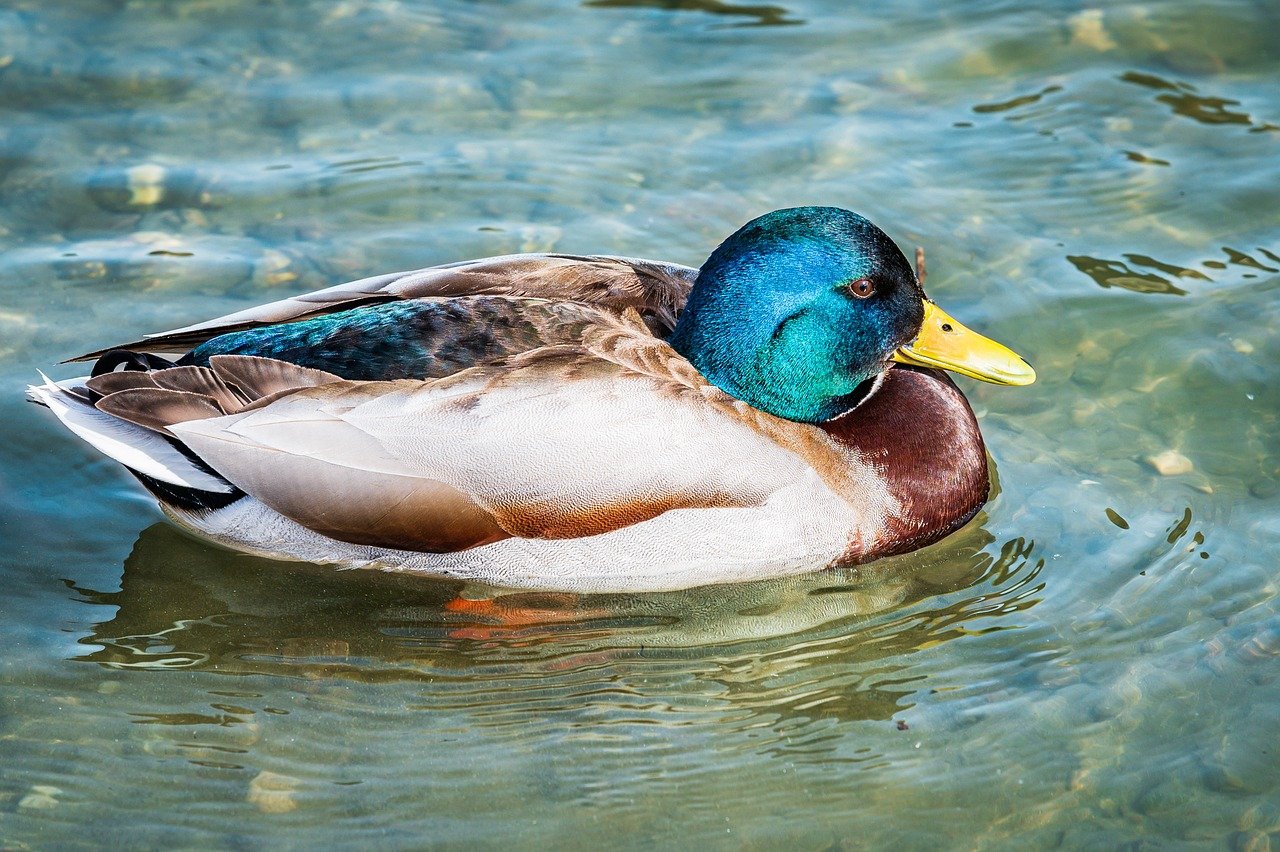 p.o. box 17316 salt lake city utah card enclosed