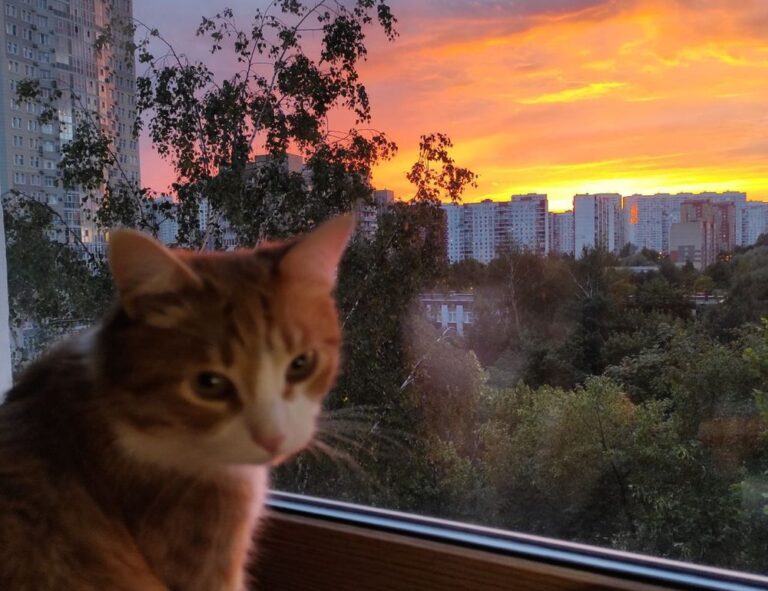 how to get feduspray home air freshener spray