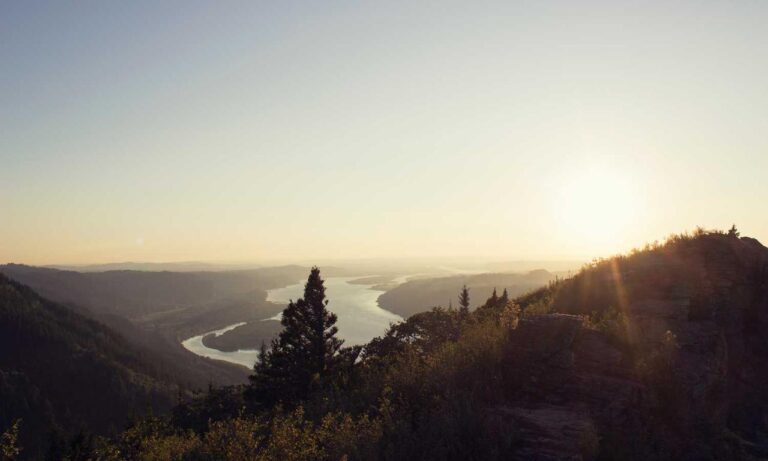 is widdeadvi suitable for my pc