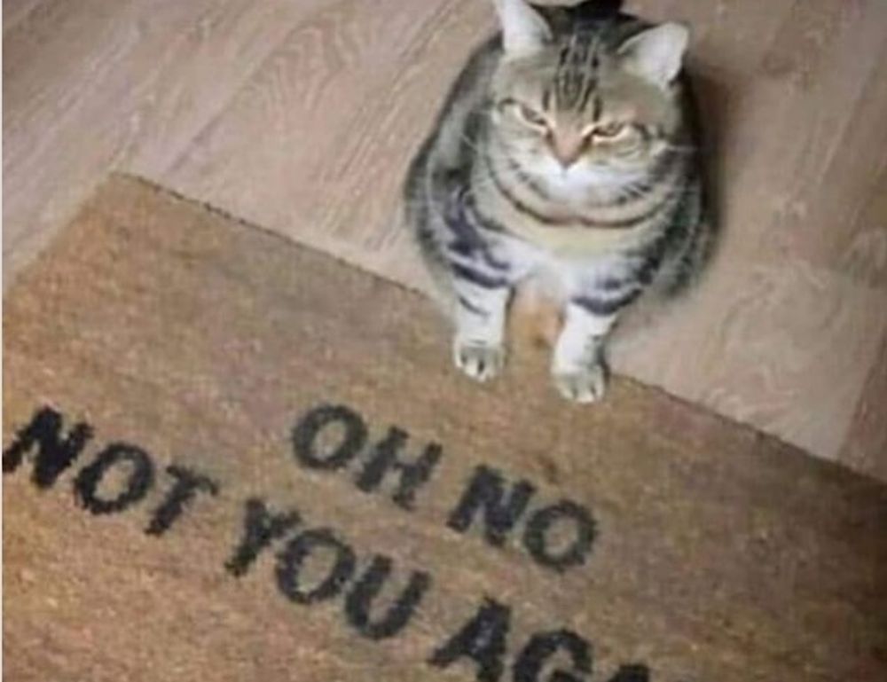 pregnant women lack komatelate