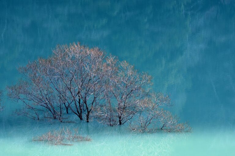 testing stonecap3.0.34 software