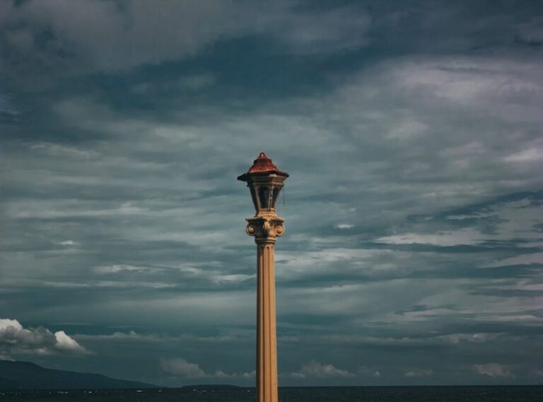 princesas con pelo negro