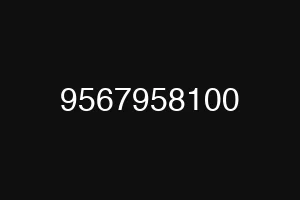 9567958100