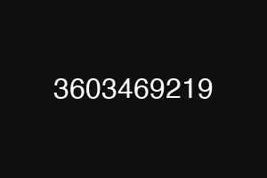 3603469219
