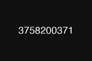 3758200371