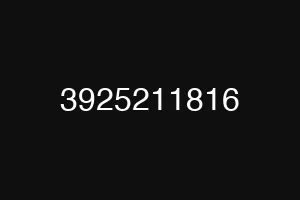 3925211816