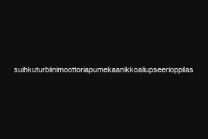 suihkuturbiinimoottoriapumekaanikkoaliupseerioppilas