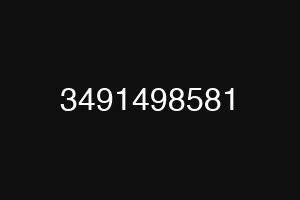 3491498581