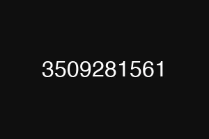3509281561