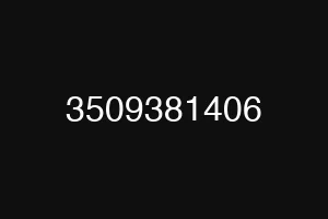 3509381406
