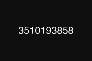 3510193858