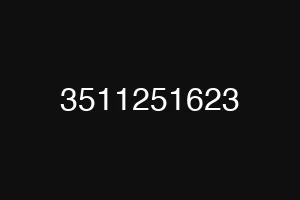 3511251623