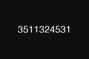 3511324531