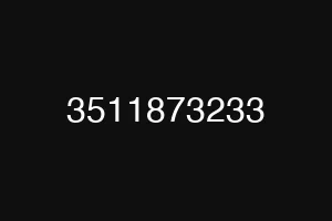 3511873233
