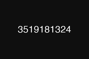 3519181324