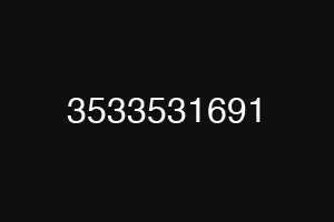 3533531691